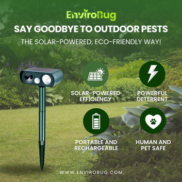 Bush Turkey Repellent Solutions for Your Property in Australia image